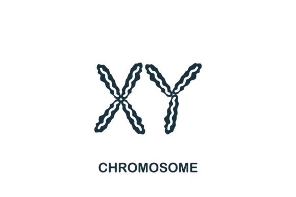 Chromosome Icon Graphics and Icons for Handmade Creators