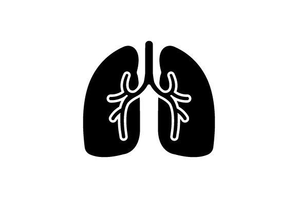 Human Lungs Icon: A Designer's Review of Modern Graphics and Icons