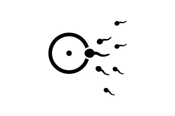 Human Sperm Icon: Modern Graphics and Icons for Publishing