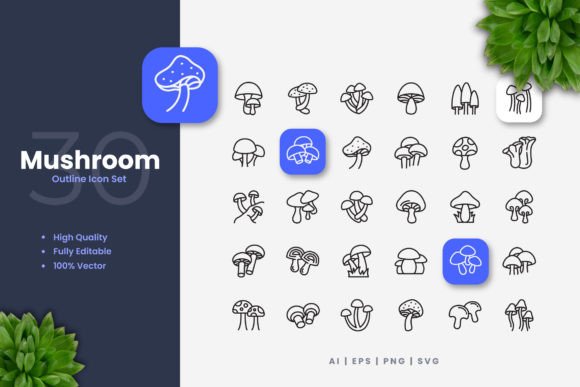 Mushroom Icons Graphics Review